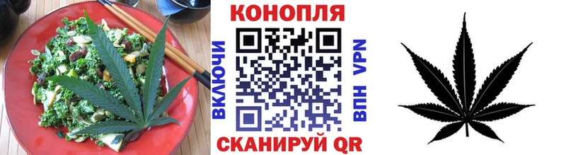 Cannafood конопля  kraken зеркало  Нолинск 