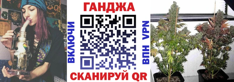 блэк спрут онион  Нолинск  Шишки марихуана сатива 
